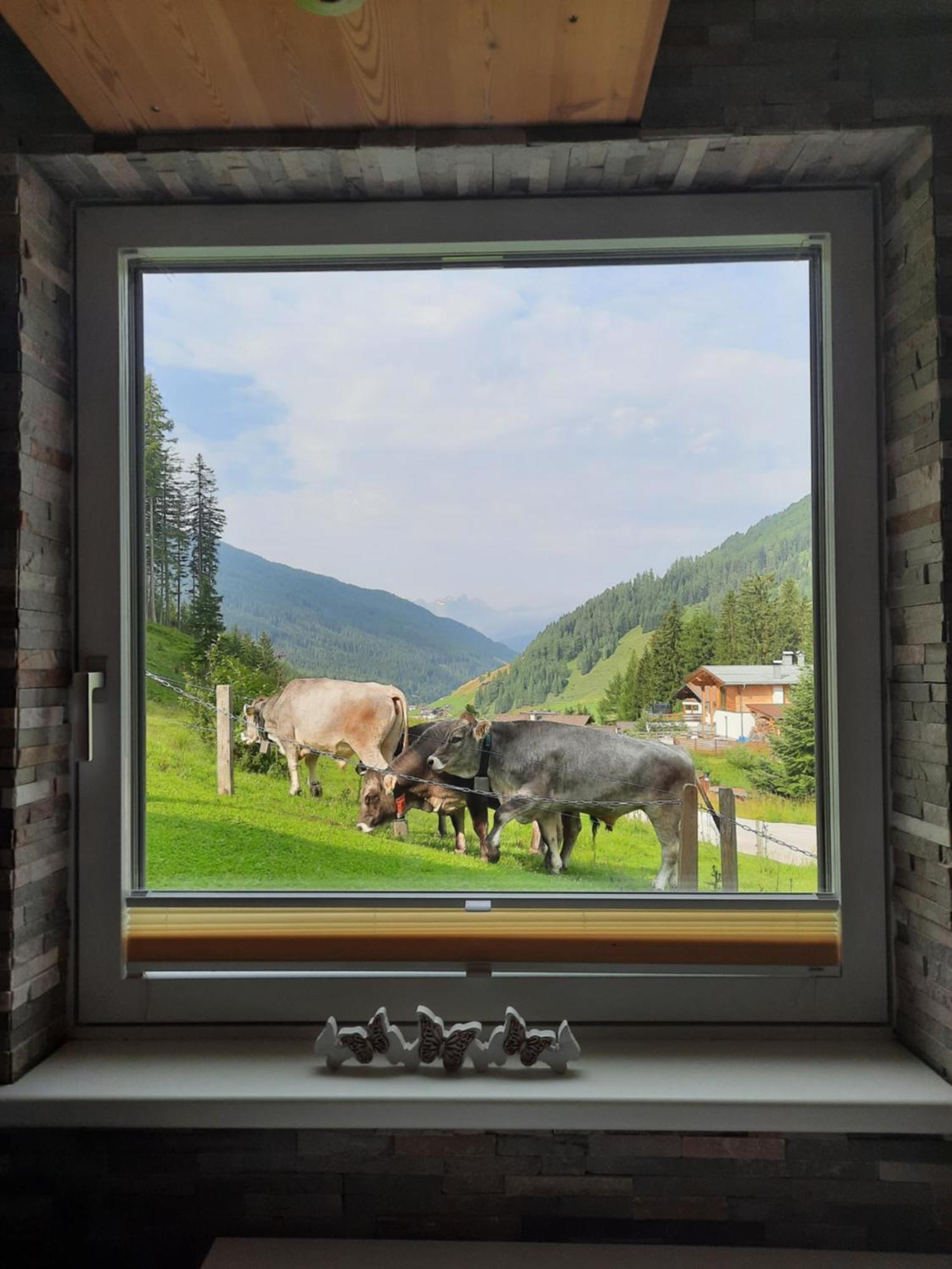 Ferienwohnung Hilber Schmirn Exteriér fotografie